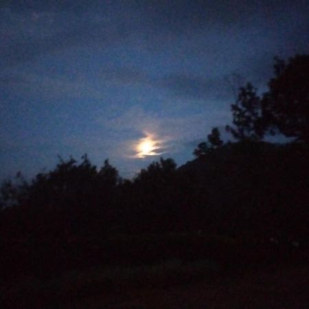 Abiyal Mountain Stay Madikeri Exterior photo
