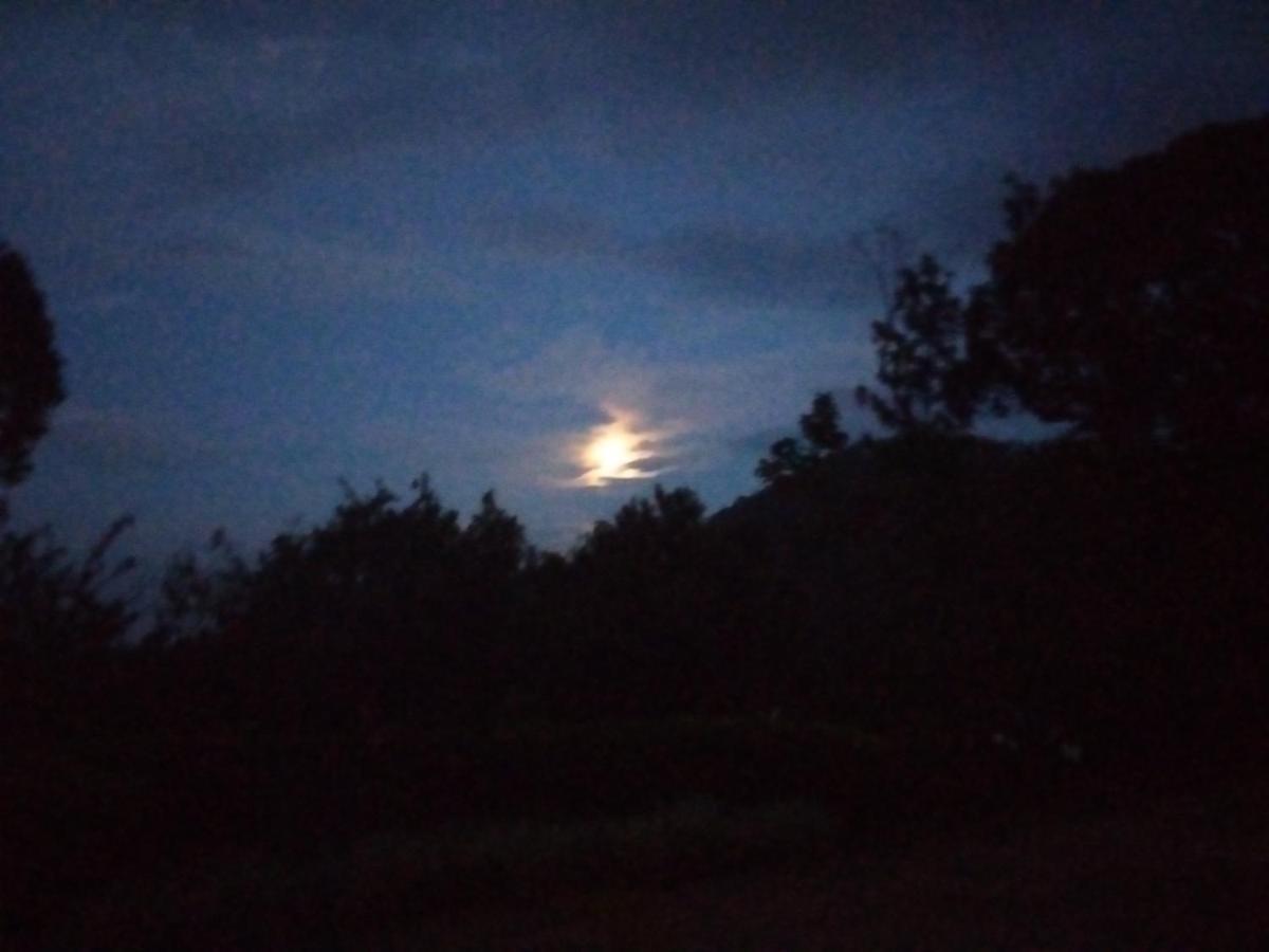 Abiyal Mountain Stay Madikeri Exterior photo